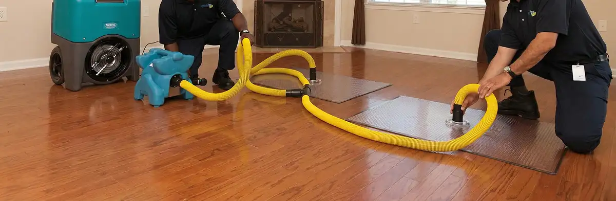 emergency water removal technicians extracting standing water from a home using professional equipment in Cape Coral, FL